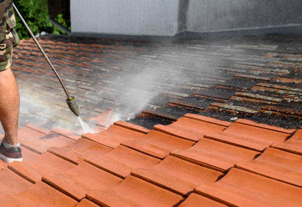 Pressure Washing Estimates in San Luis, AZ