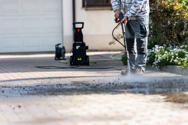 Best Residential Pressure Washing Services  in San Luis, AZ