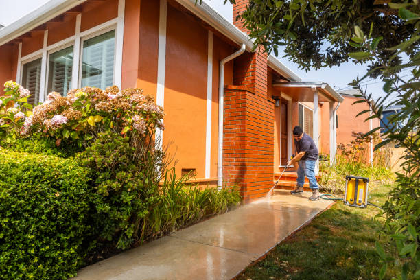 Best Roof Pressure Washing  in San Luis, AZ