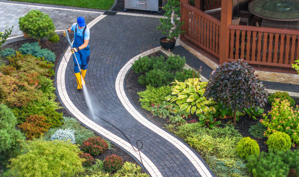 Best Local Pressure Washing Services  in San Luis, AZ