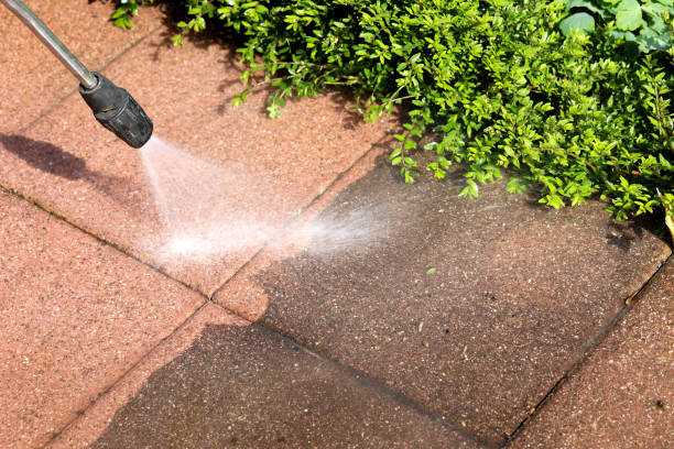  San Luis, AZ Pressure Washing Pros